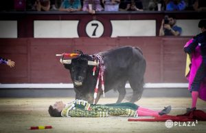 Vergüenza torera de los novilleros en Madrid