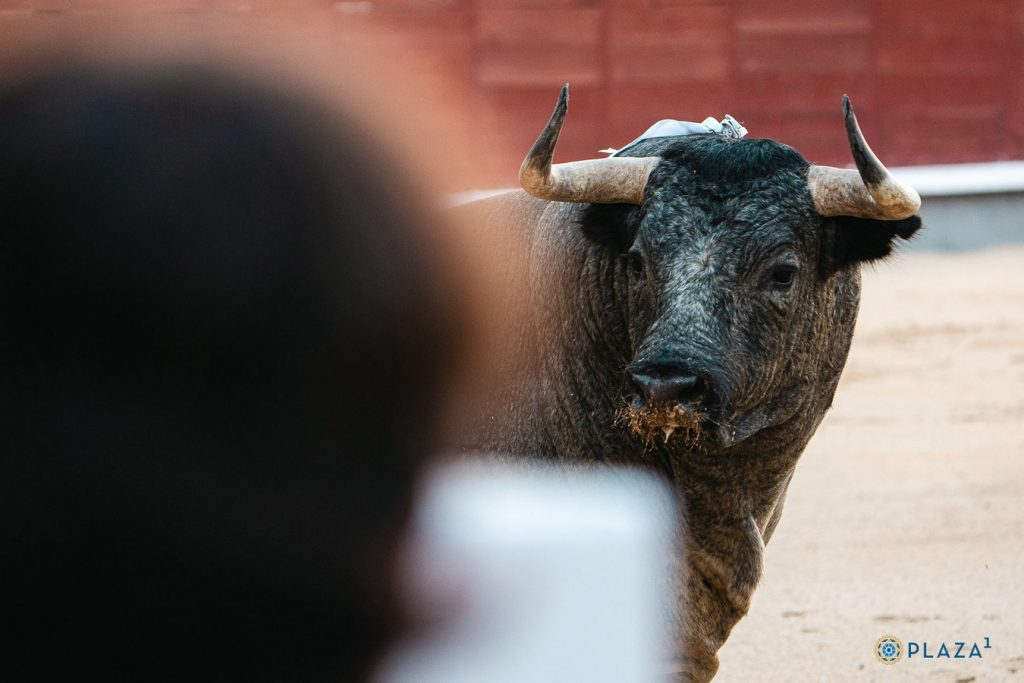 Las Ventas cierra los carteles del mes de septiembre