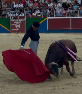 Oliva Soto corta un rabo en Algodonales