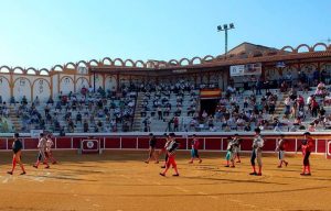 Feria Taurina de San Bartolomé en Añover de Tajo
