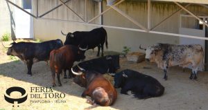 Orden de lidia de los toros de Cebada Gago para Pamplona