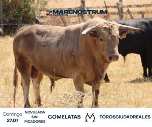 Los novillos de Víctor y Marín para este domingo en Ciudad Real