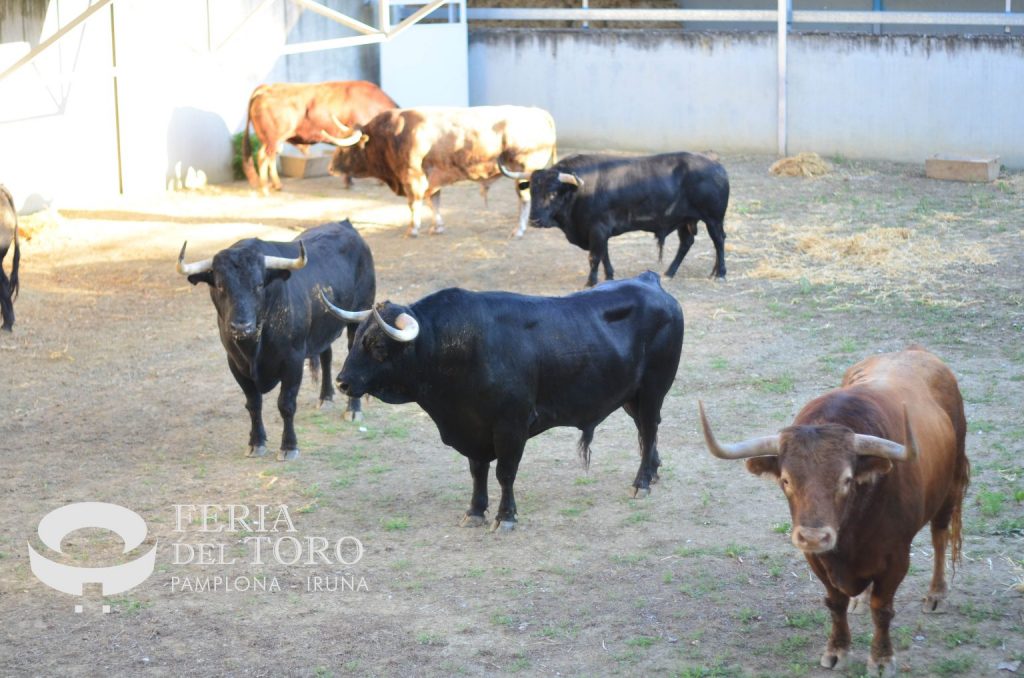 Orden de lidia de los toros de Victoriano del Río para Pamplona