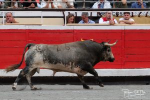 'Tapaboca', de La Quinta, premiado por el Club Cocherito