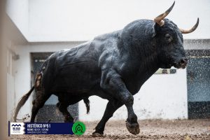 Orden de lidia de los toros de Fuente Ymbro para Bilbao