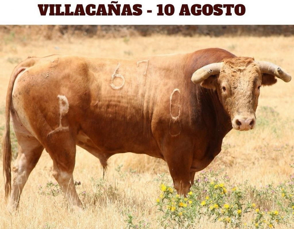 La corrida de Alcurrucén para Villacañas, en imágenes