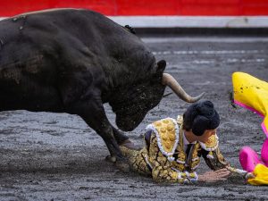 Roca Rey no actuará en Cuenca tras la lesión de Bilbao