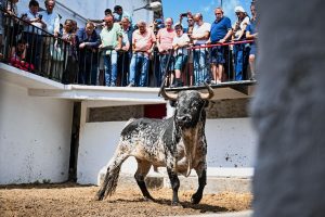 Entipados 'Murteiras' para cerrar San Ignacio