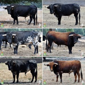 Seriedad y remate de Baltasar Ibán para Villaseca de la Sagra