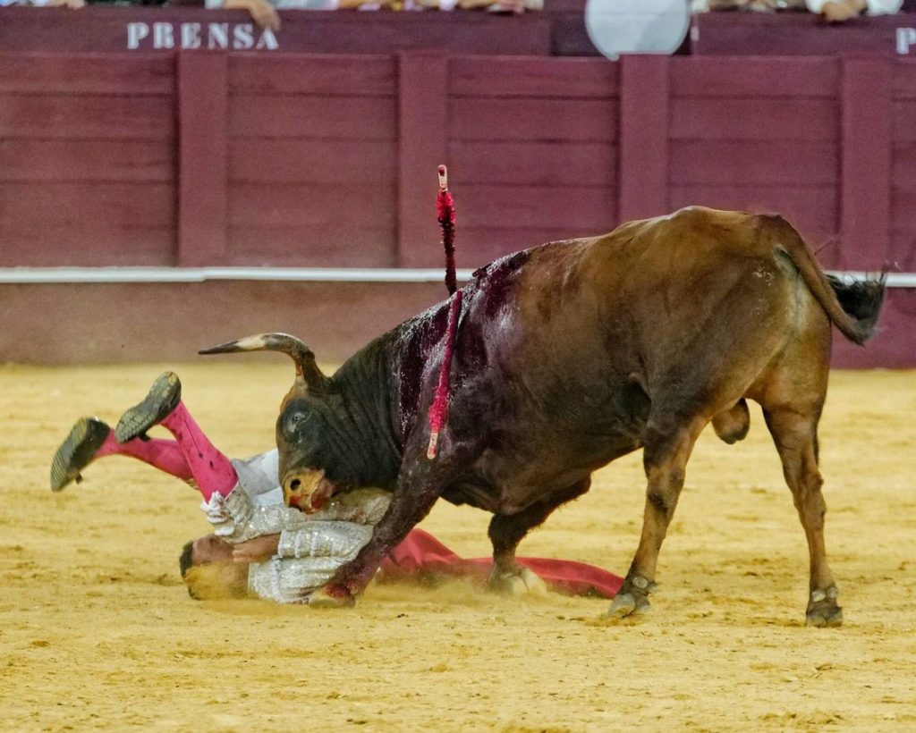 Descartadas las fracturas costales de David de Miranda