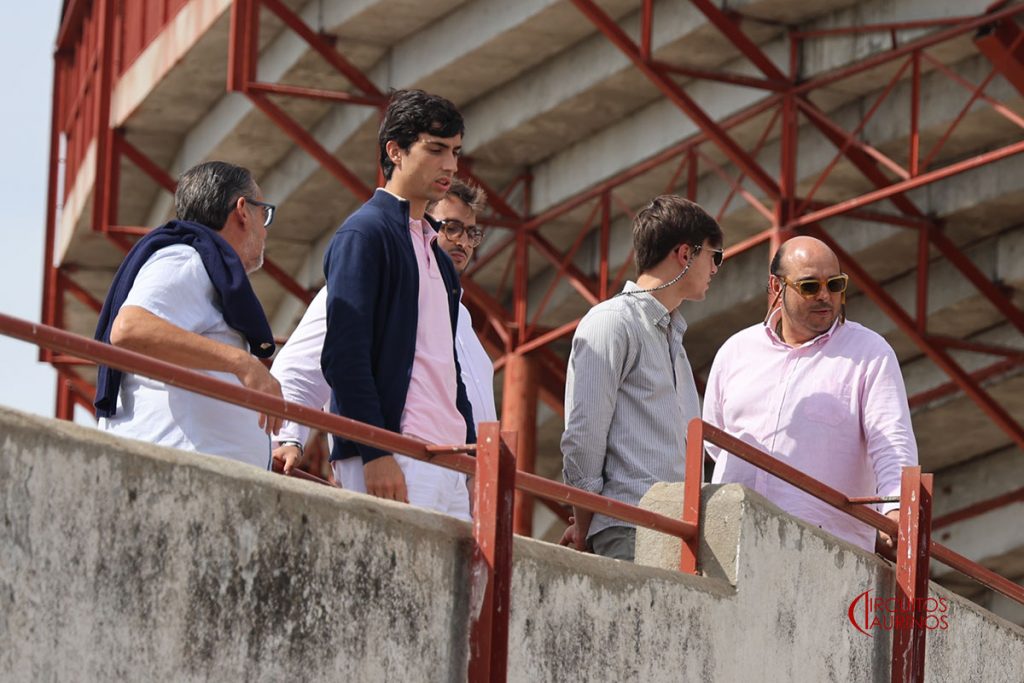 Novillada de Toros de Brazuelas para la segunda de Colmenar