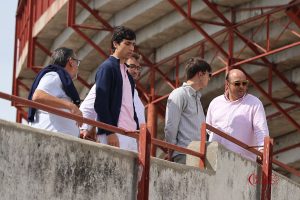 Novillada de Toros de Brazuelas para la segunda de Colmenar