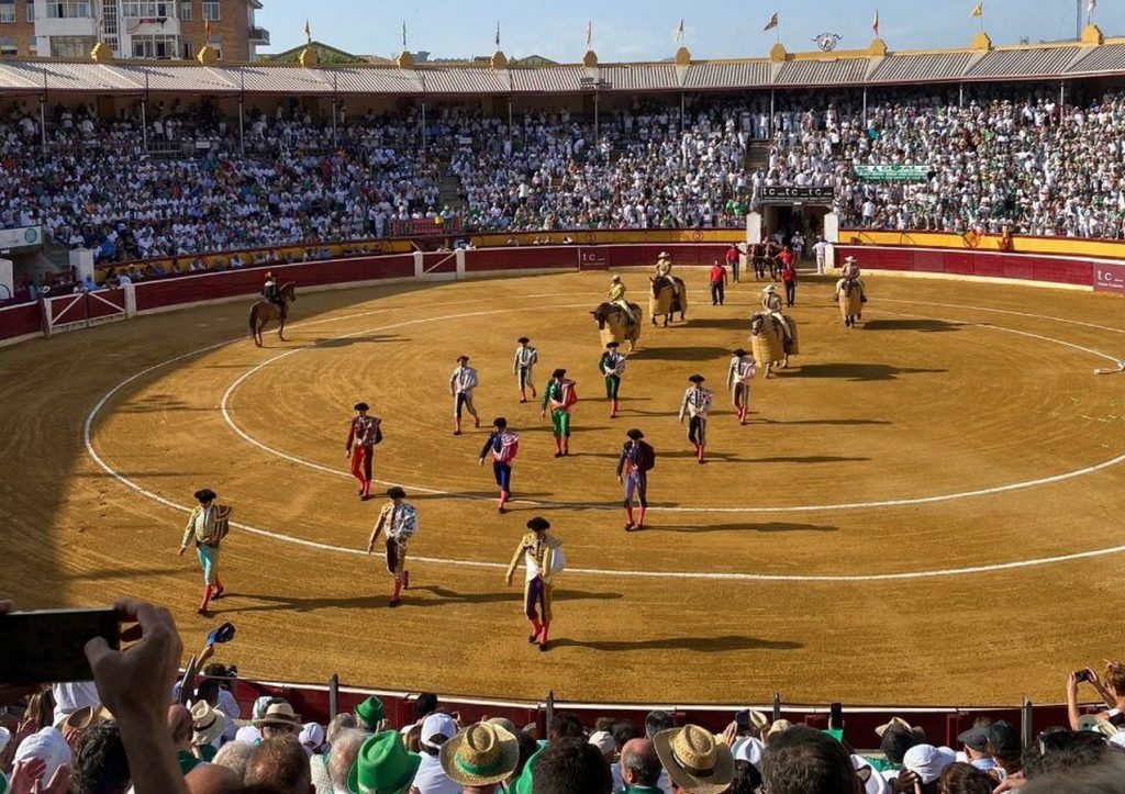 Los toros de José Cruz para el Día de San Lorenzo en Huesca