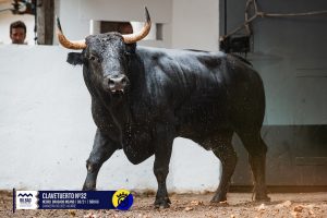 Orden de lidia para la primera corrida de la Aste Nagusia