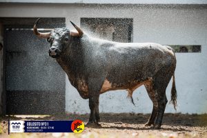 Orden de lidia para la corrida mixta de hoy en Bilbao