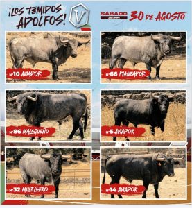 Los imponentes toros de Adolfo Martín para Daimiel