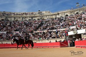 Suspendida la corrida de esta tarde en Nimes