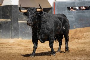Orden de lidia de los toros de Garcigrande para Sevilla