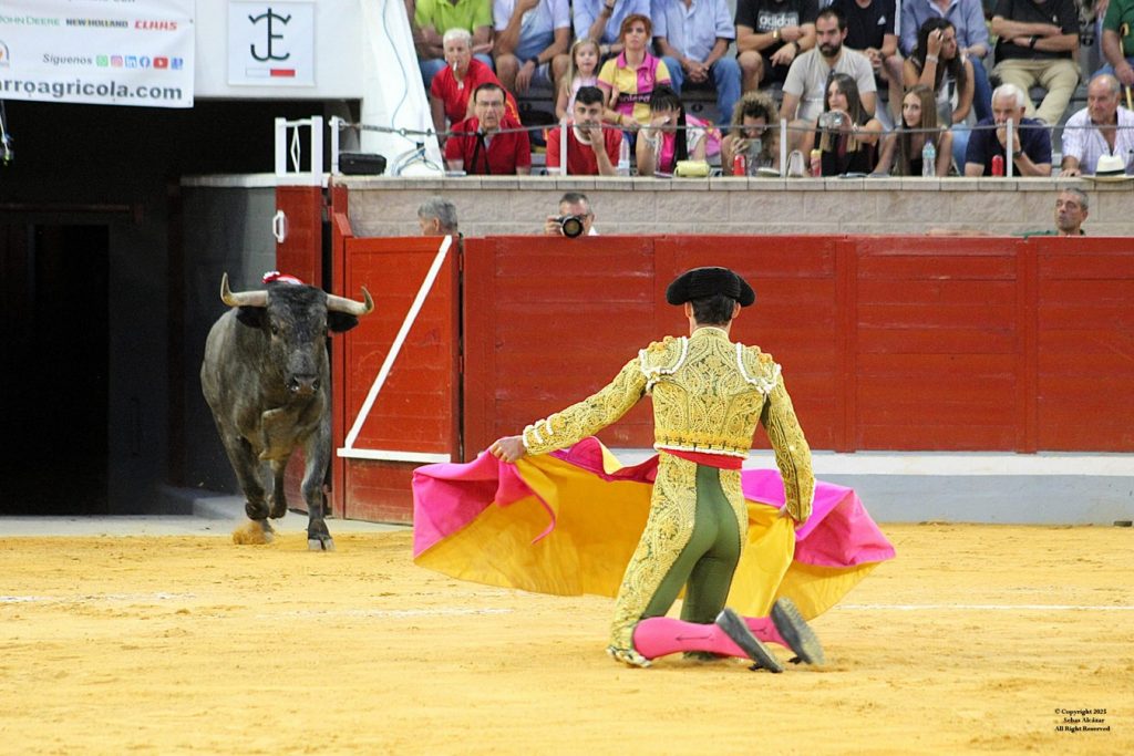 Duro encierro de José Escolar en Villaseca de la Sagra