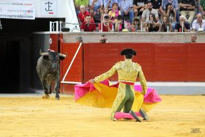 Duro encierro de José Escolar en Villaseca de la Sagra