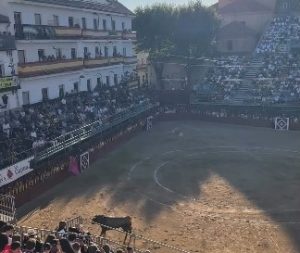 Reseña de otros festejos del jueves