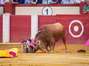 Roca Rey actuará este sábado en Albacete