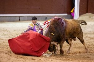 Cornada muy grave a Bruno Aloi en El Álamo
