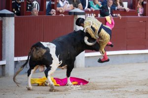 Serafín Marín, cornada de 30 centímetros en el muslo derecho