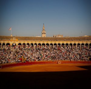 Históricos datos de audiencia en Canal Sur con San Miguel