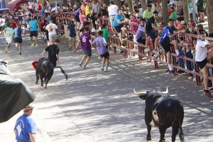 Primer encierro de las fiestas de Almodóvar del Campo