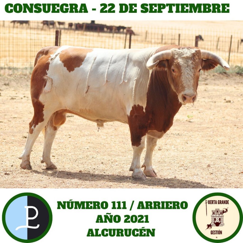 La corrida de Alcurrucén para Consuegra, en imágenes