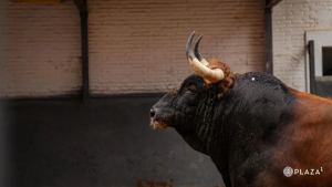 Fernando Robleño dirá adiós con 'Tropical' de Garcigrande