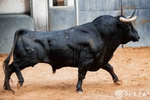 Orden de lidia para la primera corrida de la Feria de Otoño