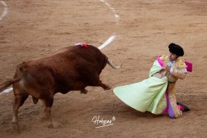 El último compás de Morante