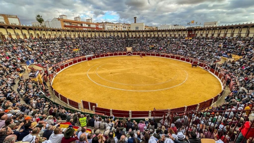 Cuatro orejas para Tomás Angulo en Almendralejo