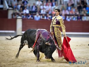 Francisco de Manuel y Diego Robles finalizan su apoderamiento