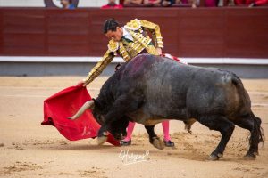 David Galván recibe el alta hospitalaria tras su percance en Madrid