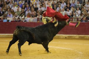 Daniel Luque recibirá el alta hospitalaria este domingo