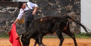 Marco Pérez en el campo bravo mexicano