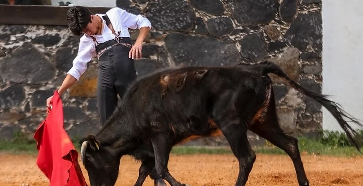 Marco Pérez en el campo bravo mexicano