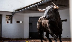 El documental sobre Dolores Aguirre se proyectará en Bilbao