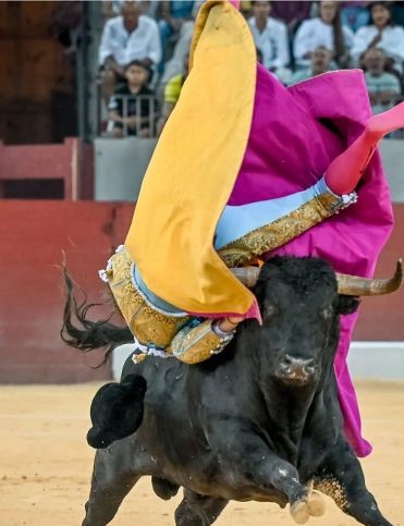 Mario Vilau, baja en la Feria del Pilar de Zaragoza