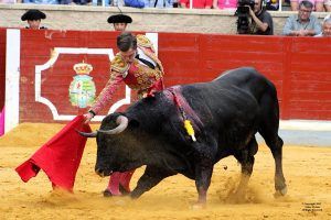 Joao D`Alva regresa al campo tras la cornada de Villaseca