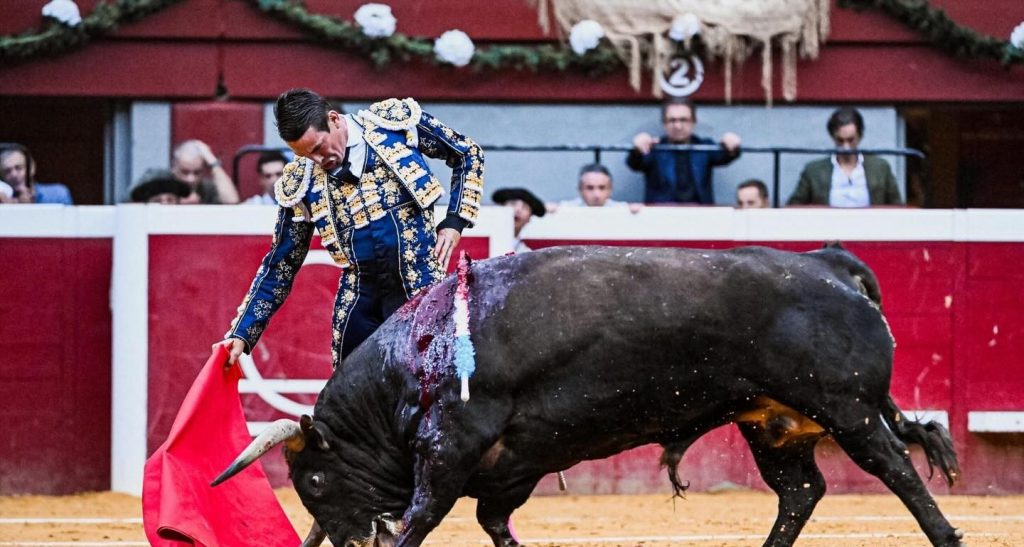 José María Manzanares, ganador de la Concha de Oro 2025