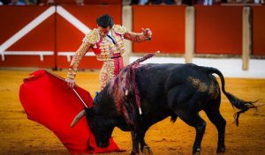 Juan Ortega y Victorino Martín premiados en Úbeda