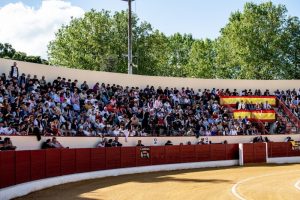 Nuevos pasos para la Copa Chenel y el Circuito de Madrid
