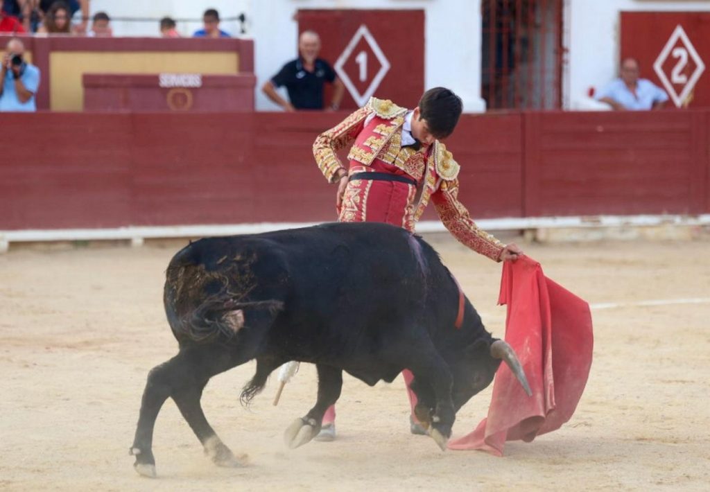 Premios de la Federación Taurina de Castellón 2025