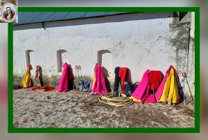 Tentadero benéfico en la Real Venta de Antequera