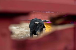 Aplazado el tentadero matinal del Bolsín del Circuito de Andalucía