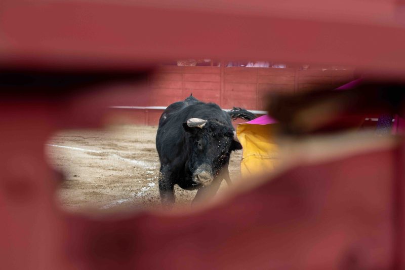 Aplazado el tentadero matinal del Bolsín del Circuito de Andalucía